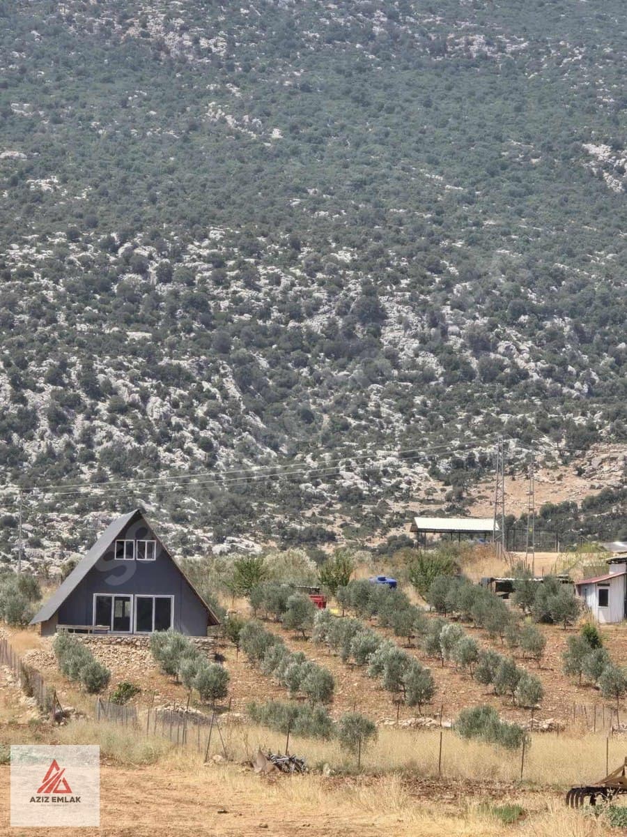 DÖŞEMEALTI AKKOÇTA MANZARALI TARLA — 1
